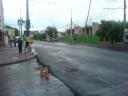 dsc00238.JPG