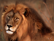 lion_king_by_mazhear.jpg