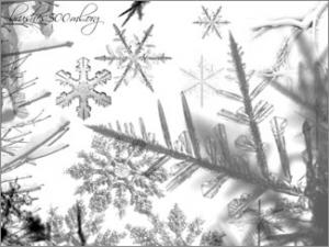 Kirsty_snow-brushes