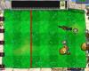 plantsvszombies5