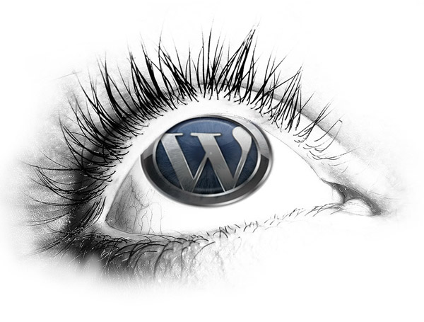 wp31 eye
