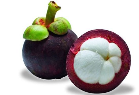 Mangosteen1