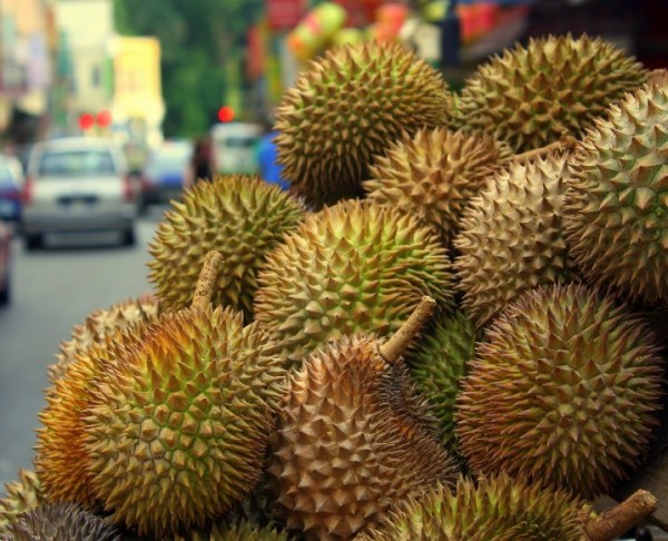 durian